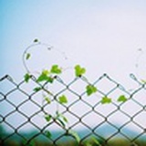 蜀山脚下
