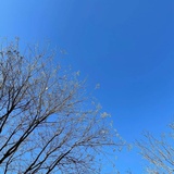 困