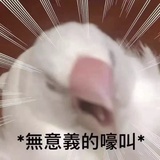 焦虑小男孩