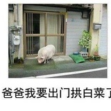 时光让我把你留