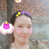 婧氏林林