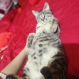 咸鱼不想奋斗
