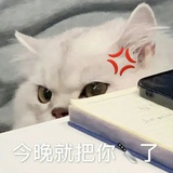 侬