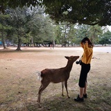 小苏打