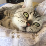综艺大赏