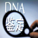 DNA基因检测
