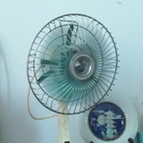 合影