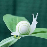 谢明语
