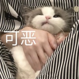 烟照残里