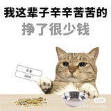 森罗万象