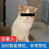 恍若空城