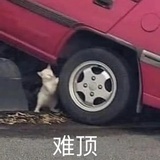 已注销
