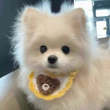 方糖