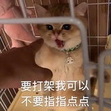 改个名呗