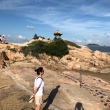 莹莹有光
