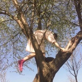 痛苦早日结束