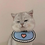 一哈没一哈