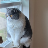 Susan