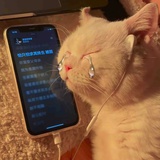心升明月
