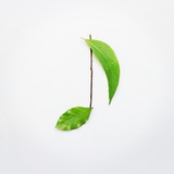 布莱克怀特
