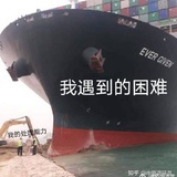 灵嘉