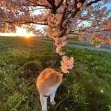 十年