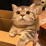 我不可爱