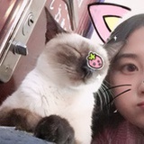 伊礼莎白