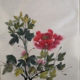雨菲