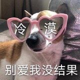 吃撑了的喵