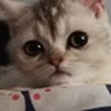 Kaya_佳弥