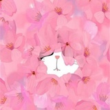椰子芒果冰