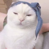 李白白白白