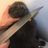 ﺭ并亲了你一口ﺭE
