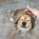 我唱我调