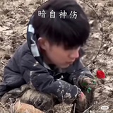 小v-J