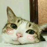 晴儿