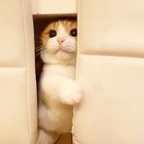 啦啦啦