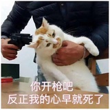 围观吃瓜