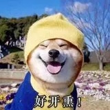 未注销