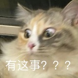 犯困嫌疑人