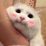W的冰淇淋