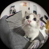 雾