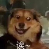 笑死企鹅肉