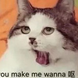 完言婉言