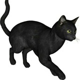 Lee
