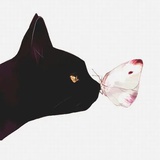 丸子