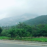 月饼团儿