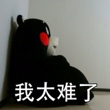 明年会更好