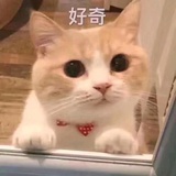 豆瓣（已下架)